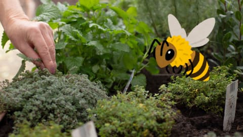 Családi délután // Beporzók a múzeumban!